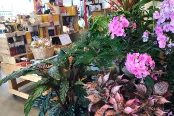 This place is filled with plants to purchase!