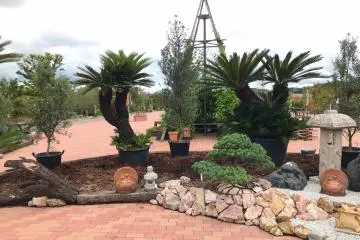 Part of the landscaped area at the back of the rest area