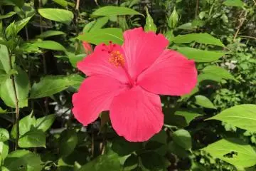 Feeling tropical!