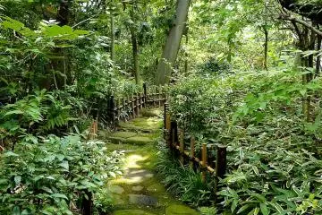 The garden