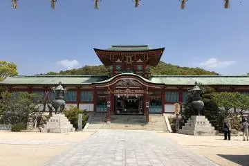 Gallery image