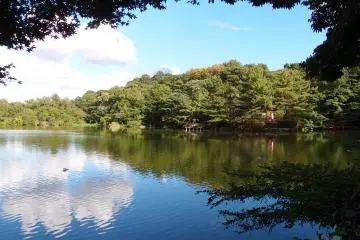 Sanpoji Pond (Photo: <a href="https://www.flickr.com/photos/o_0/9669738959/in/album-72157635380088136/" target="_blank" rel="noreferrer noopener nofollow">Guilhem Vellut</a> / <a href="https://creativecommons.org/licenses/by/2.0/" target="_blank" rel="noreferrer noopener nofollow">CC BY 2.0</a>)
