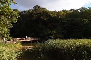 Shakui Park is an oasis in Nerima (Photo: <a href="https://www.flickr.com/photos/o_0/9672980696/in/album-72157635380088136/" target="_blank" rel="noreferrer noopener nofollow">Guilhem Vellut</a> / <a href="https://creativecommons.org/licenses/by/2.0/" target="_blank" rel="noreferrer noopener nofollow">CC BY 2.0</a>)