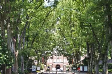 The trees form a subtle yet beautiful aural experience (Photo: <a href="https://www.flickr.com/photos/31029865@N06/8079613193/in/photolist-diY6U7-disDqU-disGue-disFmF-diY8vK-disFy4" target="_blank" rel="noreferrer noopener nofollow">Dick Thomas Johnson</a> / <a href="https://creativecommons.org/licenses/by/2.0/" target="_blank" rel="noreferrer noopener nofollow">CC BY 2.0</a>)