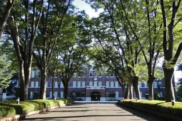 The trees are now listed on the 100 Soundscapes of Japan (Photo: <a href="https://www.flickr.com/photos/31029865@N06/8073859500" target="_blank" rel="noreferrer noopener nofollow">Dick Thomas Johnson</a> / <a href="https://creativecommons.org/licenses/by/2.0/" target="_blank" rel="noreferrer noopener nofollow">CC BY 2.0</a>)