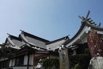 <p>The temple roof, with lots of considerately provided places for gulls to perch</p>