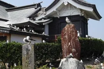 <p>"The Birds" might have been inspired by a visit here</p>