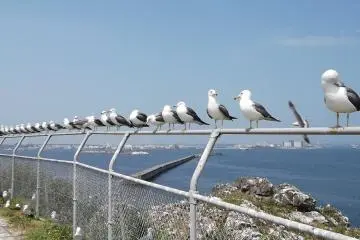 <p>Queued and waiting for clearance to take off</p>