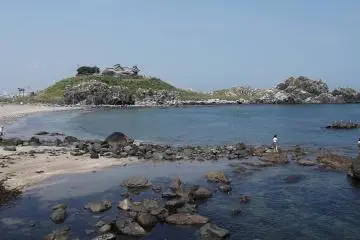 <p>A long shot of the island shows quite how many gulls there are</p>