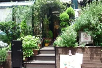 Gallery image