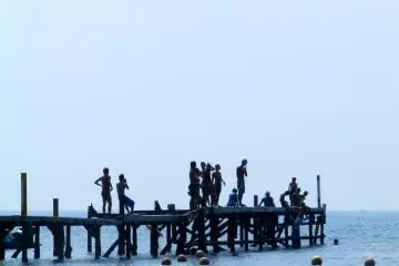 They finally worked up the courage to jump!