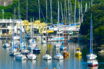 Little boats, waiting patiently in the sun.
