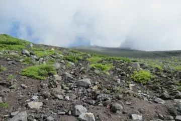 The view along Fujinomiya trail