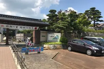 Celebrating 30 years of showcasing Ojiya's koi tradition
