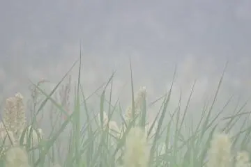 Fog can move in very quickly