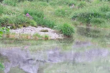 Kengaike Pond reflection