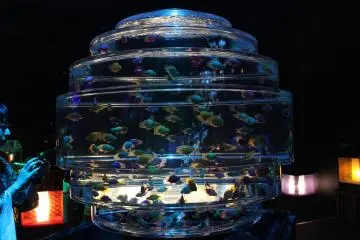 Aquariums of different shapes