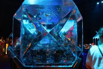 Aquarium with refractive surface