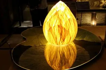 Lotus lamp