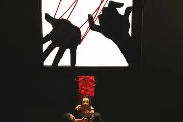 Artist dolls