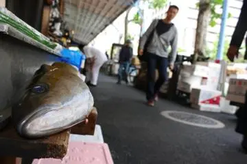 Tsukiji Outer Market
