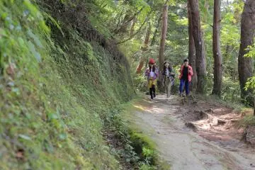 宫城偶来