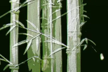 A bamboo image with filters