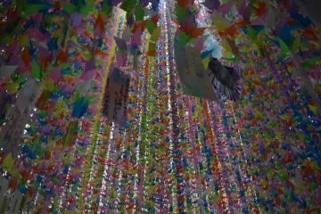 So many origami cranes