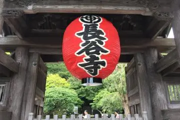 Like the red carps in the pond, and the red dragonfly, the main gate of the temple is prominently red