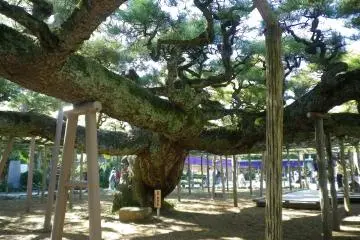 A treasure of nature in Edogawa City