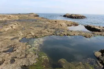 I can see the ocean!