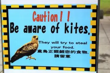 The danger is real enough! 