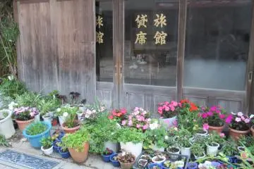 Nice corner with flowers