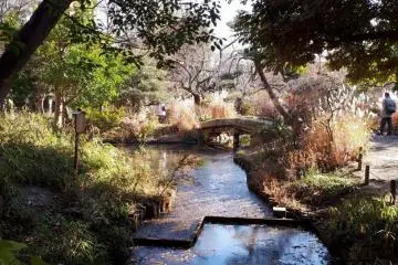 Pond and bridge at Mukojima-Hyakkaen during winter