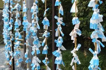 The shrine's omikuji are blue-white