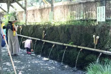 A sacred spring