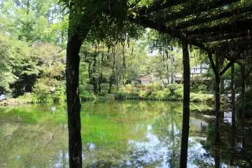 The sacred Wakutama-ike pond