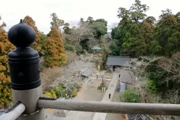 <p>มองลงไปยังพื้นที่ตรงกลาง</p>
