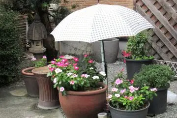 A cute flower corner