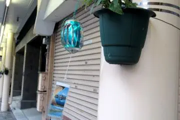 Wind chimes made of cans were hung along the street