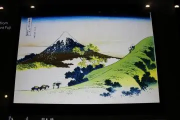 One of the monitor images