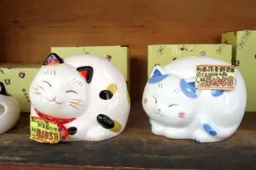 All kinds of cats can be found