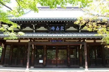 Gallery image