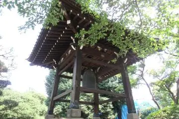 Gallery image