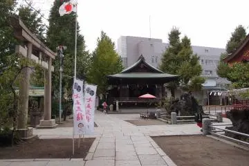 The shichi-go-san ceremony being celebrated at the shrine