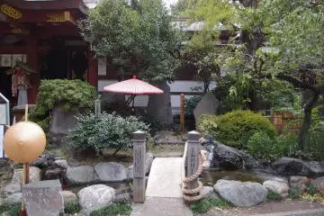 Simple landscaping