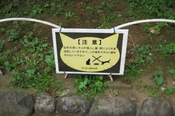 A sign advising against feeding the resident cats in Nishi-Nippori Park