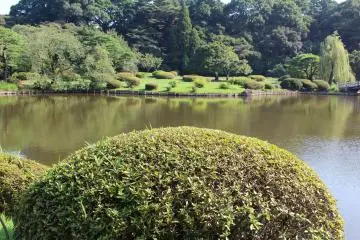 Shinjuku Gyoen