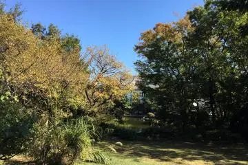 Spying Adachi Museum through the trees of the garden (Photo: <a href="https://commons.wikimedia.org/wiki/File:Higashi_Fuchie_Garden_03.jpg" target="_blank" rel="noreferrer noopener nofollow">Masao / CC BY-SA 4.0</a>)