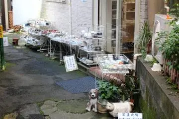 The shop's entrance 